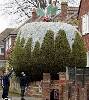 christmas pudding christmas tree.jpg
